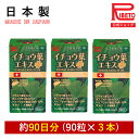  イチョウ葉 DHA EPA ギャバ ホスファチジルセリン イチョウ葉エキスプラス ICHOHA EKISU PLUS 90粒 3カ月分セット リニア社製記憶力維持 うっかり ストレス 集中力 勉強 脳の栄養 健康食品 サプリ 国内製造 リベト RIBETO