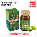 イチョウ葉 DHA EPA ギャバ 記憶維持 イチョウ葉エキスプラス ICHOHA EKISU PLUS 90粒 リニア社製記憶力維持 うっかり ストレス 集中力 勉強 脳の栄養 健康食品 サプリ 国内製造 リベト RIBETO