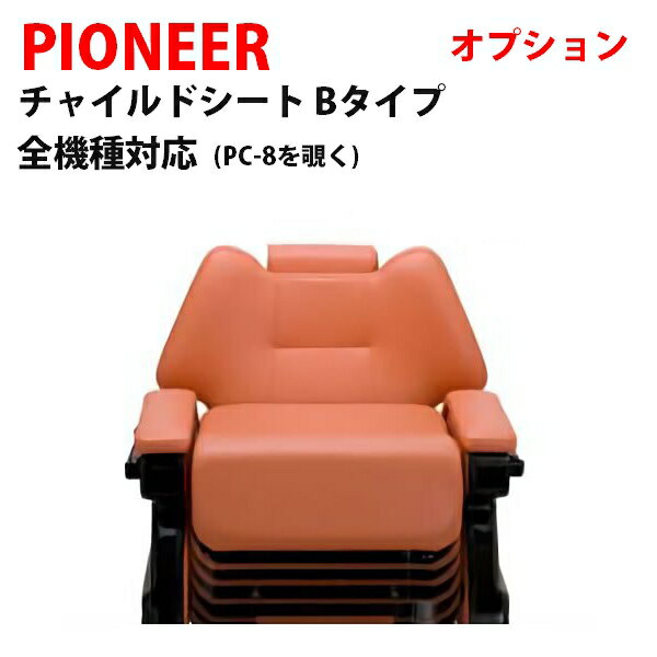 Vi  PIONEER pCIjA `ChV[gB^Cv IvV