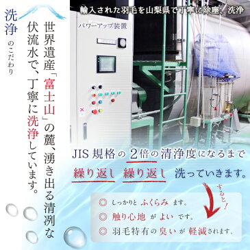 羽毛布団 シングル 約150×210cm ヨーロピアンプレミアムマザーホワイトダックダウン95% 二層キルト プレミアムゴールドラベル 安心の日本製 甲州産 羽毛掛布団 シングルロングラベル