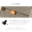 爪とぎ 猫 ボール付 動物病院の先生がお勧め 三角 ダンボール 鈴 おすすめ かわいい 段ボール 頑丈 ガリガリ ねこ つめとぎ ペット用品 3