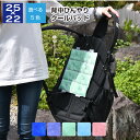 クールパッド 背中 ひんやり PCM リュック用 冷たいシート 熱中症対策 エコ 何度でも使える 自然凍結 cool クール 通学 通勤アイテム 暑さ対策 1枚までクリックポスト配送
