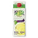 楽園 ワインパック 白 500ml 箱なし 白ワイン 清洲桜醸造 パックワイン 【 酒 お酒 洋酒 ワイン晩酌 一人飲み パック 国産 国産ワイン 呑み お祝い 甘口ワイン 内祝い ギフト 退職祝い プレゼント 引っ越し祝い 贈り物 ワイン 母の日 母 】 【 ワインならリカオー 】