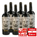 [][Zbg6] AN} 750ml~6{ GS {fKX ԃC XyC  y C    m j v[g Mtg av[g yY ƒp 킢 j Ԃ킢 CZbg Zbg CMtg 蕨 z yCȂ烊JI[z