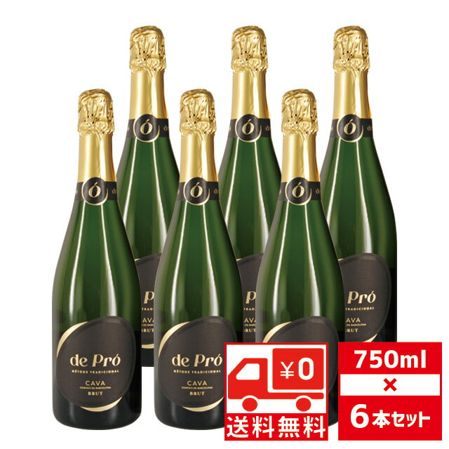 [̵][å6]   ץ 11.5 750ml6 ѡ󥰥磻  ڥ ޼ޡڤ  ѡ...
