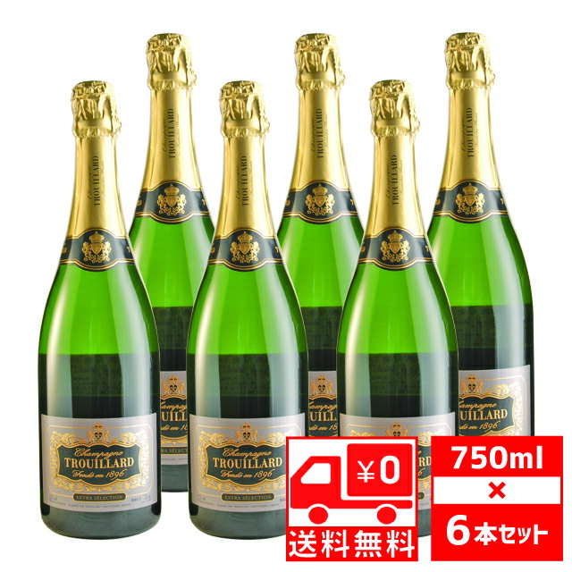 [送無][セット6] トゥルヤール エクストラ セレクション ブリュット 750ml×6本 シャンパン 送料無料【お酒 酒 スパークリングワイン ワイン スパークリング ギフト シャンパーニュ シャンペン 洋酒 母の日 プレゼント お酒 父の日 】【ワインならリカオー】