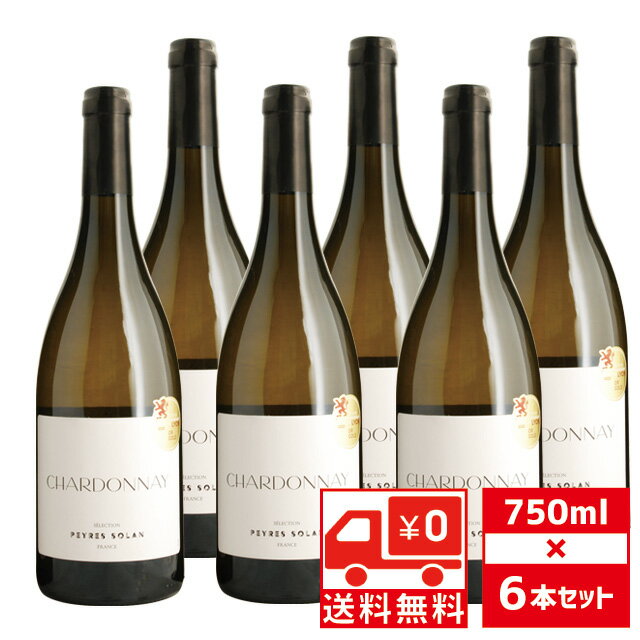 [送無][セット6] ペール ソラン シャルドネ 2022年 750ml×6本 白ワイン フランス 送料無料 【 酒 お酒 おさけ 洋酒 ワイン 自宅用 プレゼント 内祝 白 ワインセット 内祝い ギフト ワインギフト わいん セット 祝い 手土産 贈り物 】 【 ワインならリカオー 】