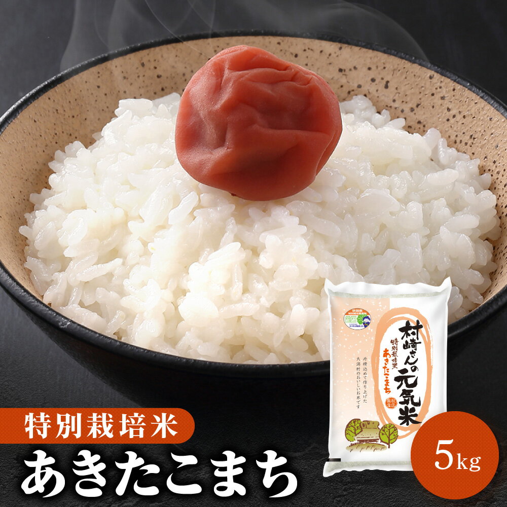 令和5年 特別栽培米 5kg 秋田県大潟村産 あきたこまち 白米 無洗米 胚芽米 玄米【送料無料】【沖縄のみ別途2,200円加…