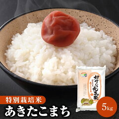 https://thumbnail.image.rakuten.co.jp/@0_mall/rice-akita/cabinet/03459843/05525503/09749220/100000001-th01.jpg