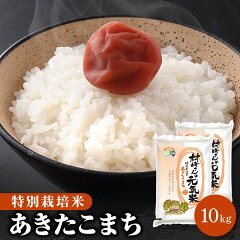 https://thumbnail.image.rakuten.co.jp/@0_mall/rice-akita/cabinet/03459843/05525503/09749220/1000000017-th01.jpg