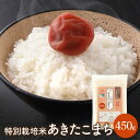 【ポスト投函】令和6年産 特別栽培米 あきたこまち 450g お試し 白米 無洗米 胚芽米 玄米【送料無料】
