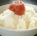 新米 <無洗米> 令和2年産 愛知県産 コシヒカリ10kg(...