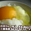 ★送料無料★当店人気NO.1のコシヒカリ!29年産三重産コシヒカリ5kg★【楽ギフ_包装】【楽ギフ_のし宛書】