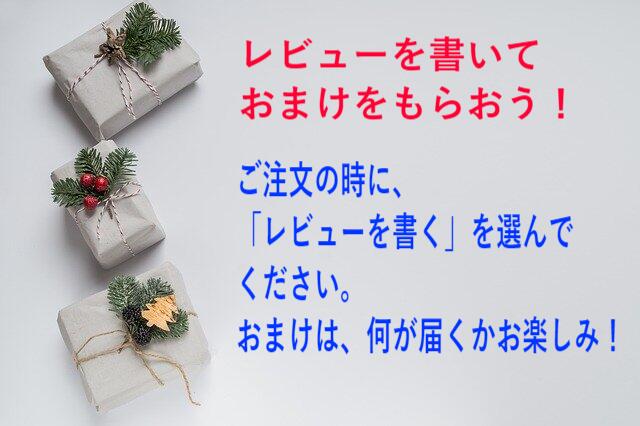 セール 10/30まで 米 10kg コシヒカリ 送料無料 無洗米 こしひかり 無洗米 令和3年産 三重県産 こしひかり 10kg 5kg×2袋でお届け