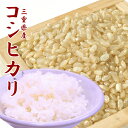 米/お米【送料無料】コシヒカリ 玄米 5kg 送料無料 三重県産 令和元年 こしひかり お米 5キロ 安い【送料無料】米5kg お米5kg 玄米5キロ こめ/おこめ