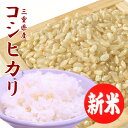 令和4年【新米】お米 送料無料 コシヒカリ 玄米 20kg【五つ星お米マイスター米】三重県産 あす楽 安い 美味しい