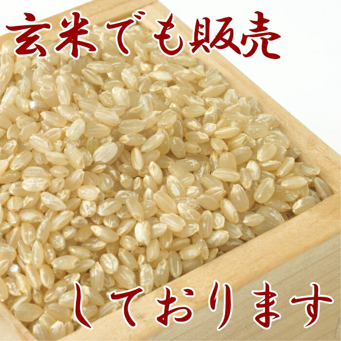 令和5年 お米 送料無料 ミルキークイーン 白米 5kg 富山県産 あす楽 安い 美味しい 2