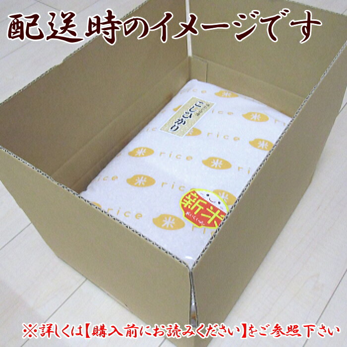 令和5年 お米 送料無料 ミルキークイーン 白米 5kg 富山県産 あす楽 安い 美味しい 3