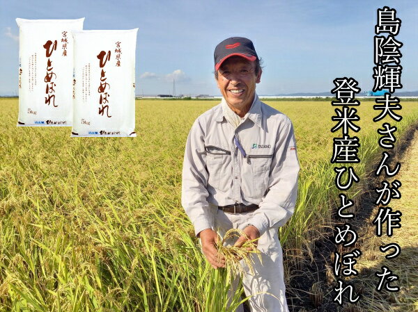 ◆令和5年産◆ 農家限定還元セール【4,680円】送料無料宮城県登米産 ひとめぼれ10kg (5kg×2) 送料無料 デザインポリ袋仕様[白米・無洗米・玄米]要選択精米は5kg×2袋、玄米は10kgひと袋米 10kg 無洗米10kg 白米10kg 玄米10kg