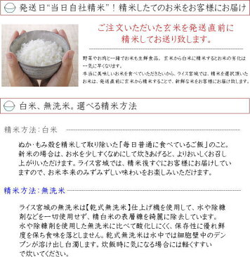 さよなら平成_売り尽くし！30年度[送料無料]宮城県登米産ひとめぼれ20kg (5kg×4) ポリ袋仕様[出荷当日精米]白米または無洗米要選択【あす楽対応_東北-関西】