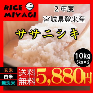 おうちごはん応援特価！令和2年【送料無料】宮城県登米産 ササニシキ10kg(5kg×2)玄米・白米・無洗米_要選択 精米(5kg×2袋)／玄米(10kgひと袋)仕様