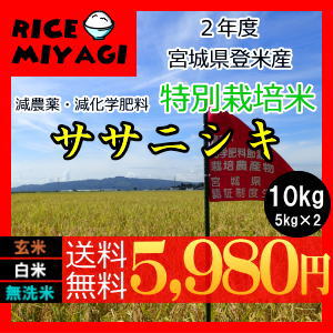 令和2年【送料無料】【特別栽培米】宮城県認証ササニシキ 10kg玄米/白米/無洗米 要選択宮城県登米産減農薬・減化学肥料【10kg 送料無料】