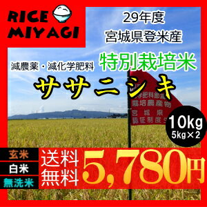 29年産【送料無料】【特別栽培米】宮城県認証ササニシキ 10kg玄米/白米/無洗米 要選択宮城県登米産減農薬・減化学肥料【米 10kg 送料無料】新米【あす楽対応_東北-関西】