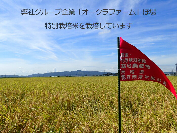 特別栽培米宮城県認証ササニシキ玄米白米無洗米一等米宮城県産登米産米送料無料精米無料サービス減農薬減化学肥料ロハス有機栽培10kg安心安全新米