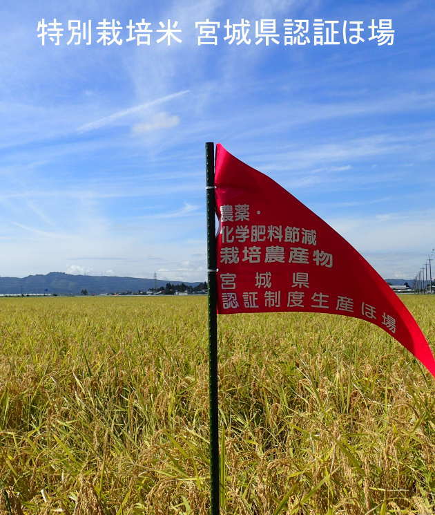 特別栽培米宮城県認証ひとめぼれ玄米白米無洗米一等米宮城県産登米産米送料無料精米無料サービス減農薬減化学肥料10kg