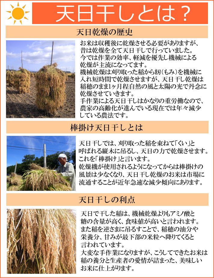 新米 30年度【送料無料】2大ブランド米食べ比べひとめぼれ・ササニシキ宮城県登米産【10kg(5kg×2)】[白米/無洗米]選択可能【米 送料無料】新米【あす楽対応_東北-関西】