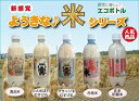 令和5年産送料無料宮城県登米産無洗米3合(450g)×10ペットボトル入り無洗米