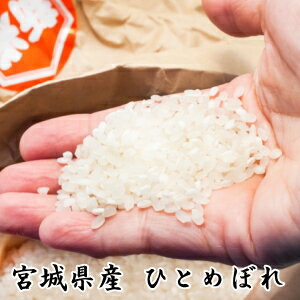 令和5年産【送料無料】高級感_和紙