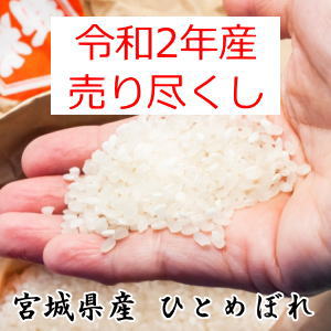 生産者限定特価！数量限定【3,000円】送料無料宮城県登米産 ひとめぼれ10kg (5kg×2) 送料無料 ポリ袋仕様白米または無洗米要選択