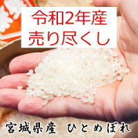 延長SALE【3,000円】【売り尽くし／令和2年産】宮城県登米産 ひとめぼれ10kg (5kg×2) 送料無料 ポリ袋仕様白米または無洗米要選択