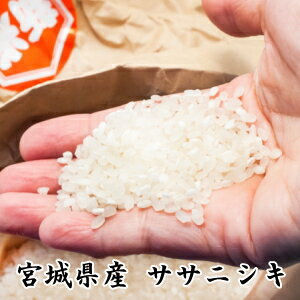 【販売終了】◆令和5年産◆【送料無料】【幻のお米】宮城県登米産 ササニシキ 5kg 玄米・白米・無洗米_要選択西のコシヒカリ東のササニシキ【あす楽対応_東北-関西】