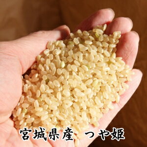 ◆令和5年産◆【送料無料】宮城県登米産つや姫 玄米 30kg【コシヒカリを凌ぐ人気！極上のお米】[佐川急便][ダンボール]限定【あす楽対応】