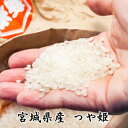 【生産者限定】4,680円◆令和5年産◆【送料無料】つや姫 10kg(5kg×2) 宮城県登米産【コシヒカリを凌ぐ人気！極上のお米】〔玄米/白米/無洗米〕要選択米 10kg 無洗米10kg 白米10kg