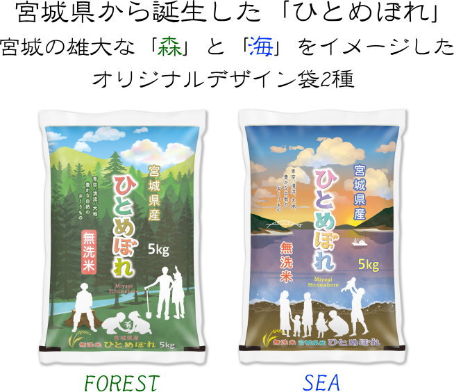 新デザイン◆令和5年産◆宮城県の雄大な自然「森」と「海」をイメージした新デザインオリジナル袋2種ひとめぼれ10kg (5kg×2)【無洗米】【送料無料】宮城県産 沖縄送料別途2,000円