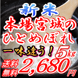 宮城県産 ひとめぼれ 5kg 送料無料25年登米産一等米 [玄米/白米/無洗米]選択可能【新米 25年 5kg】【米 5kg 送料無料】【恵方巻きにもお勧め】
