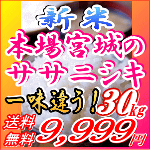 【一味違うこのお米】宮城県産 ササニシキ 30kg玄米[白米27kg/無洗米26kg]小分け可25年登米産【新米 25年 30kg】【米30kg 送料無料】恵方巻きにもお勧め！
