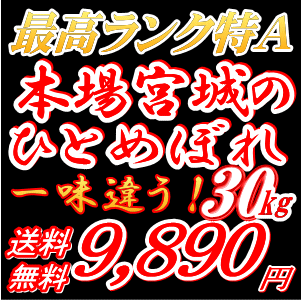【一味違うお米！】宮城県産 ひとめぼれ 30kg玄米[白米27kg/無洗米26kg]小分け可 【最高ランク特A地区のお米】25年登米産一等米【米30kg 送料無料】恵方巻きにもお勧め！