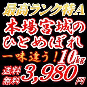 【一味違うこのお米】宮城県産 ひとめぼれ 10kg(5kg×2) 【最高ランク特A地区のお米】白米/無洗米/玄米/選択可能25年登米産一等米【米 10kg 送料無料】【恵方巻きにもお勧め】