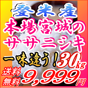 【一味違うこのお米】宮城県産 ササニシキ 30kg玄米[白米27kg/無洗米26kg]小分け可25年登米産【米30kg 送料無料】恵方巻きにもお勧め！