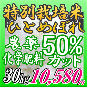 特別栽培米ひとめぼれ 30kg玄米（白米27kg/無洗米26kg）25年宮城県登米産一等米小分け可【米30kg 送料無料】恵方巻きにもお勧め！