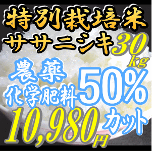 【特別栽培米】ササニシキ30kg玄米[白米27k/無洗米26k]小分け可25年度 宮城県登米産【米30kg 送料無料】恵方巻きにもお勧め