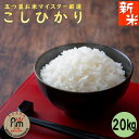 【送料無料】【新米】千葉県産コシヒカリ 20kg(5kg×4)R7【五ツ星お米マイスター厳選】【令和7年産】