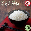 人気ランキング第25位「お米とせんべい生地の根本商店」口コミ数「0件」評価「0」【送料無料】千葉県産ふさこがね　20kg(5kg×4袋)　R5　【令和5年産】【五ツ星お米マイスター厳選】精米　白米　おいしいお米