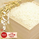 米 10kg 送料無料 こしひかり 受注精