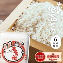 もち米 送料無料 餅米 【令和6年】米使用 広島県北 もち米5kg 10kg 20kg お餅 送料無料 モチ米 5kg 送料無料 コメ ヒメノモチ ココノエモチ 国産ブレンド 送料込み 産地直送 (沖縄・離島は別途送料追加)