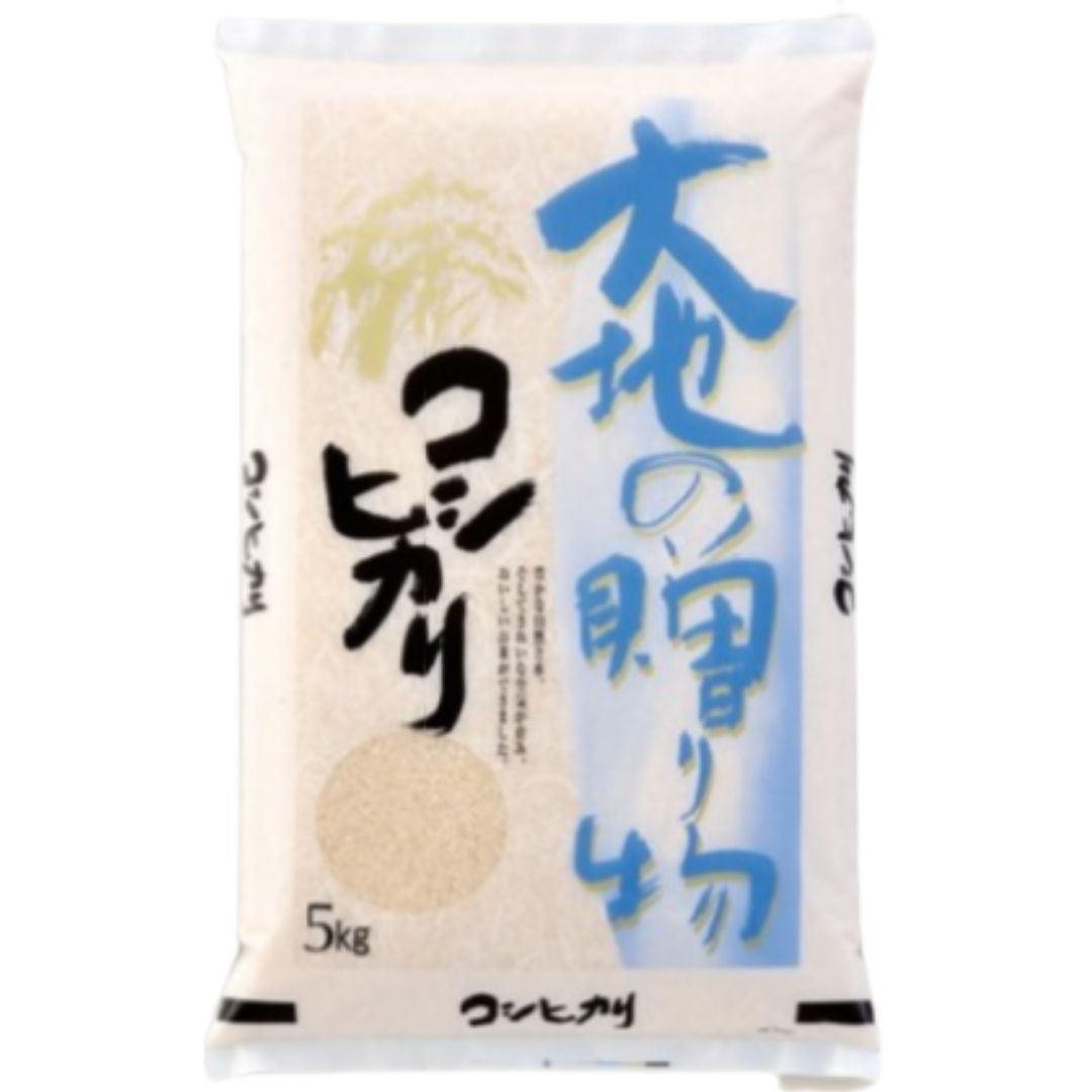 ★ラインクーポンで【8,180円!!】 コシヒカリ最安値挑戦中 米 10kg 送料無料 こしひかり 受注精米 大地のコシヒカリ お米 10kg 送料無料 白米 お米10kg 送料無料 米10kg 送料無料 白米 10キロ 産地直送 ライスマ 備蓄用 非常用 (北海道・沖縄は別途送料追加)